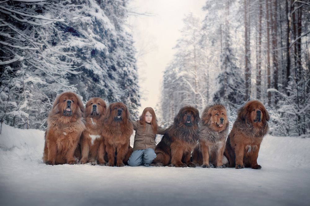 Мощь и сила