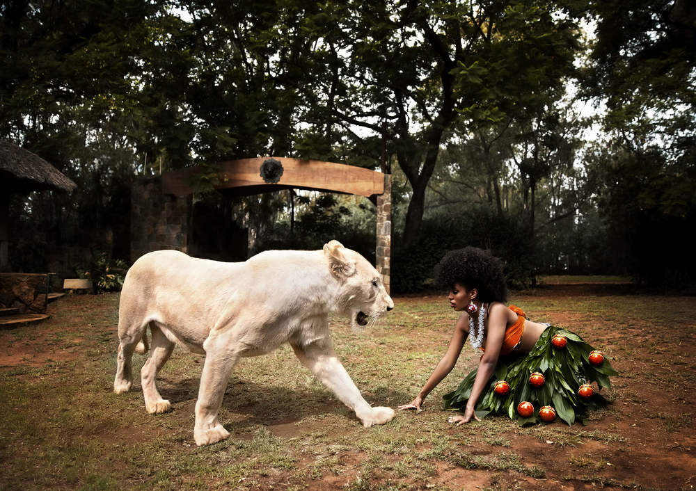 Safari Glass Ornaments Collection