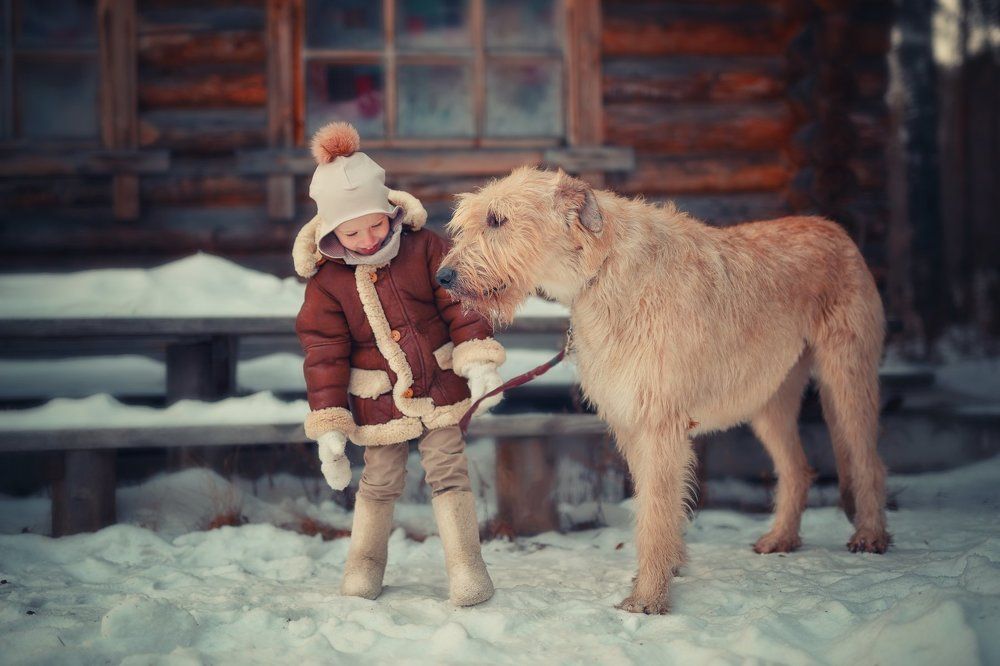 Photograph by Александра Дуке