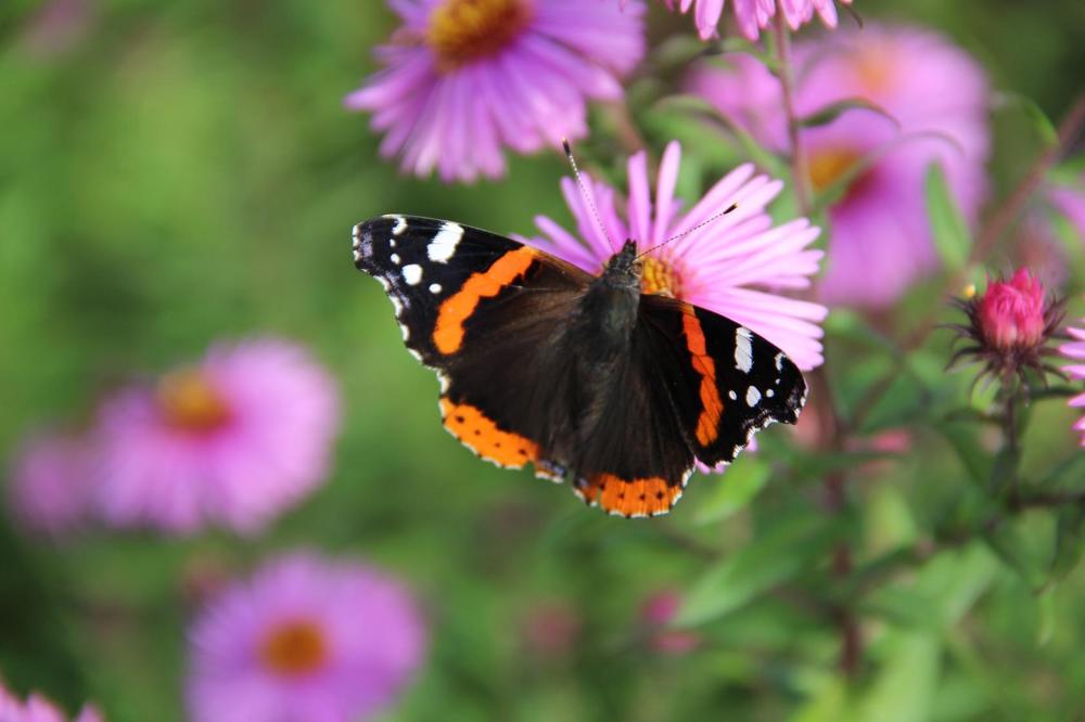 Photograph by Дмитрий