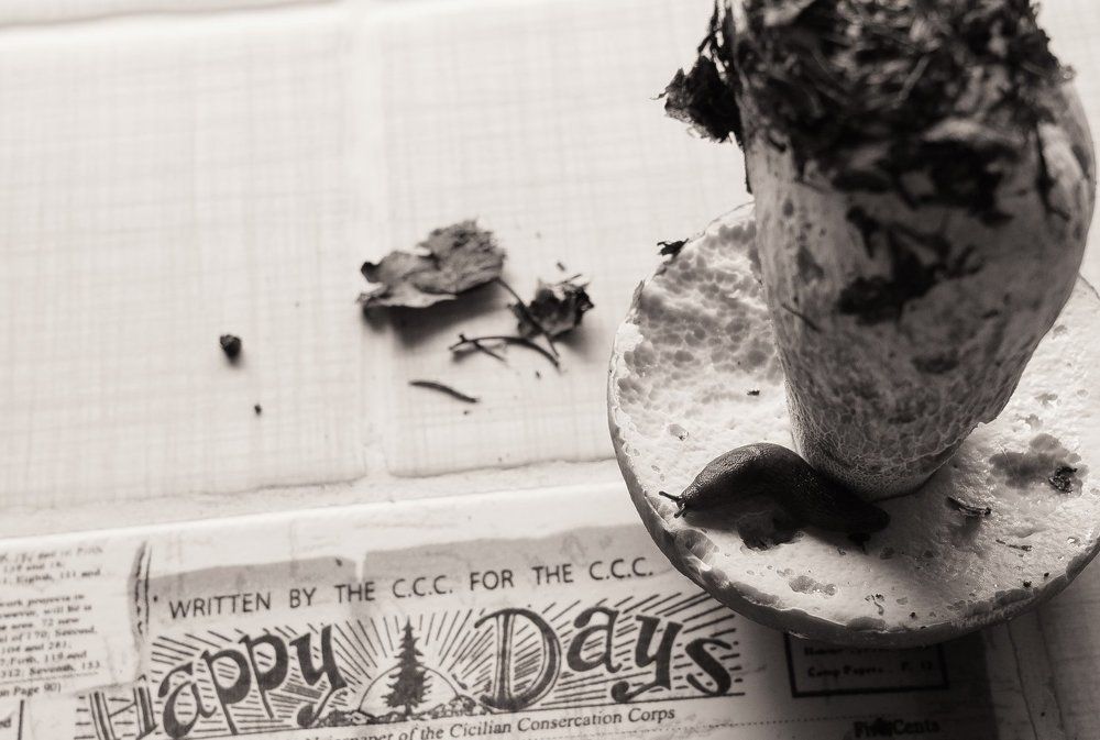 Happy Days или Все относительно