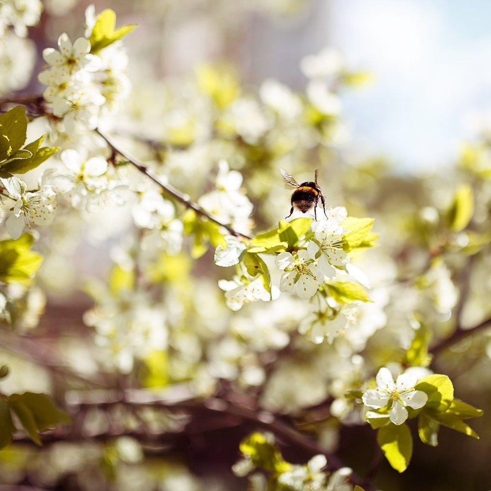 Photograph by Старостина Евгения