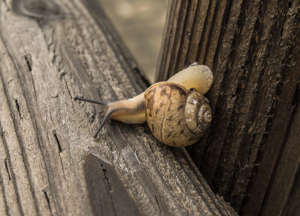 Чуть-чуть не упала с высоты