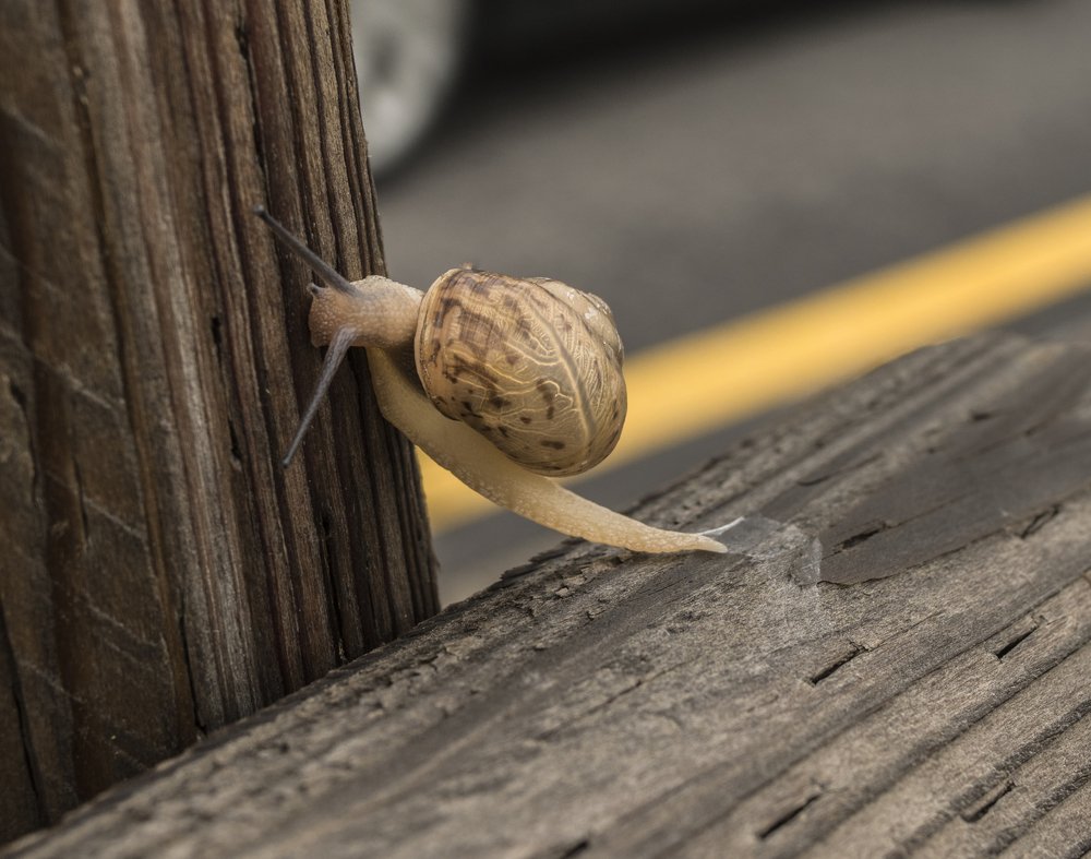 Трудный подъем