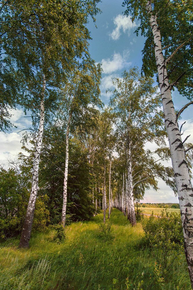 родом из детства