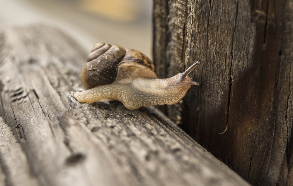 Ох... сейчас как заберусь повыше