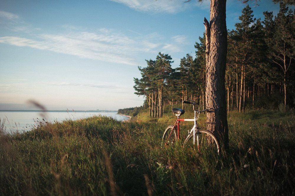 Photograph by Никита Татауров