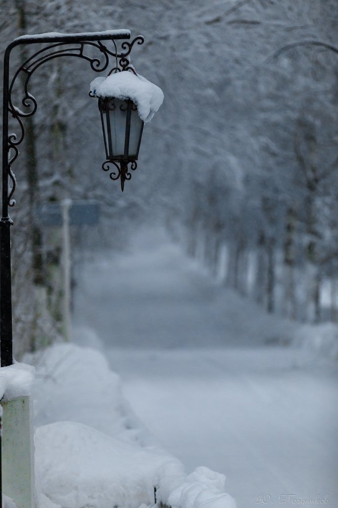 Фонарь, дорога