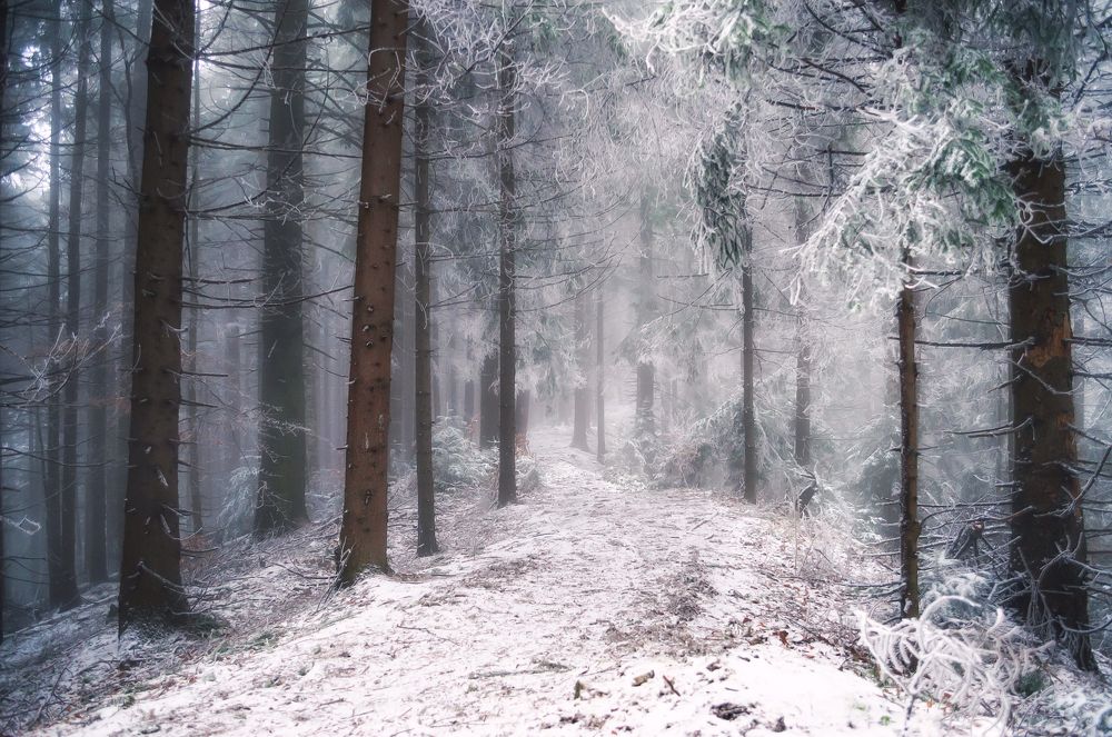 Photograph by Serhii Fedoruk