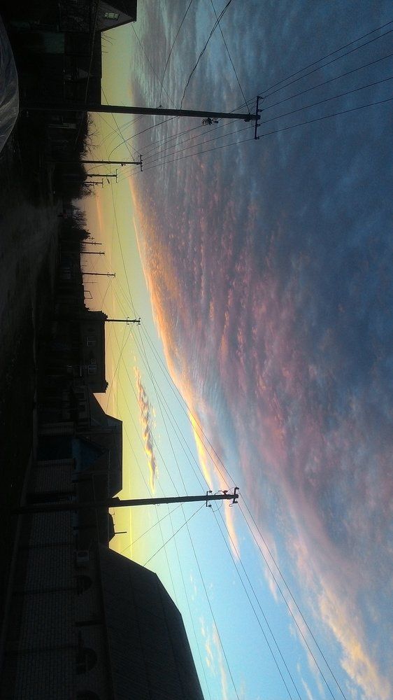Photo #2214669