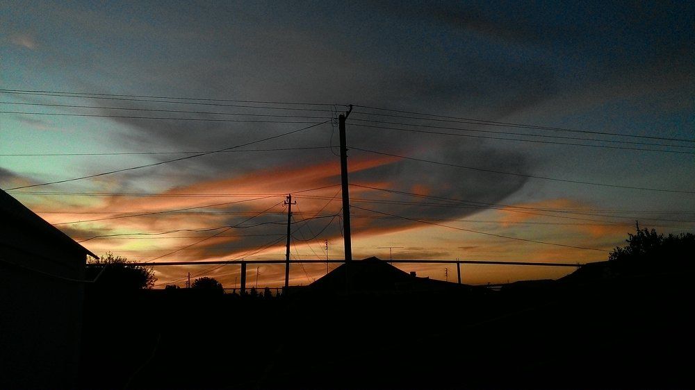 Photo #2214685