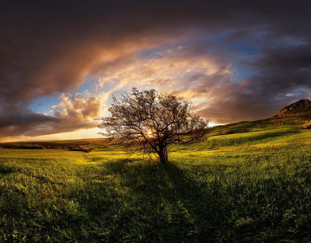 Я слышу аромат дождя…