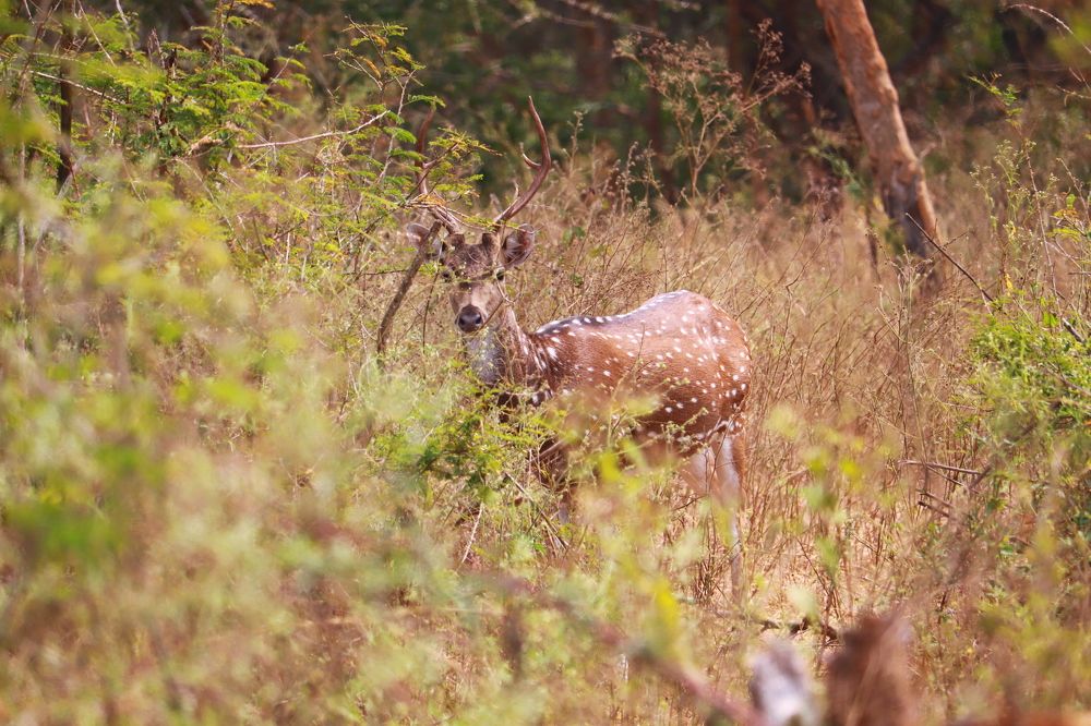 Photograph by Akhila