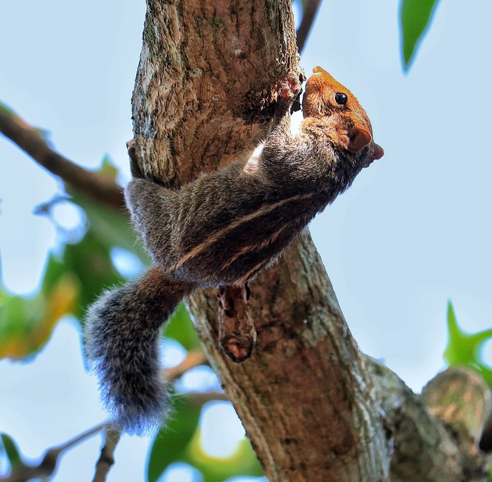 Photograph by Akhila