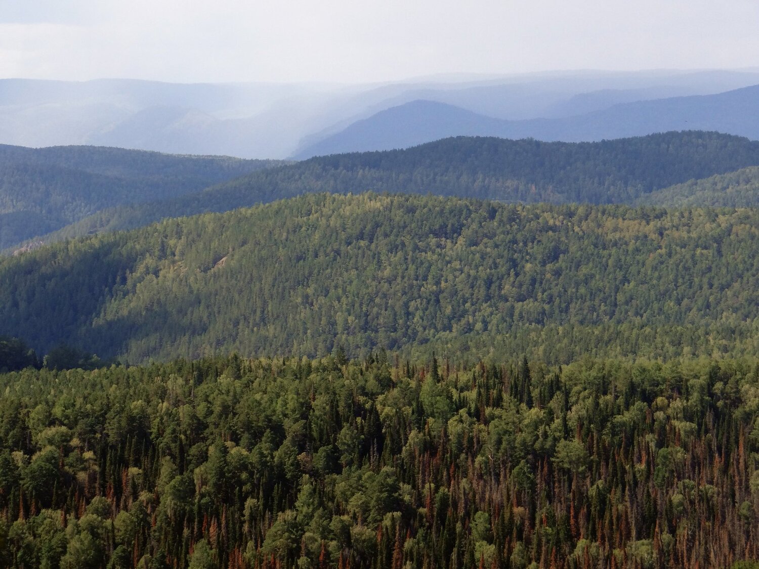 Красноярский край
