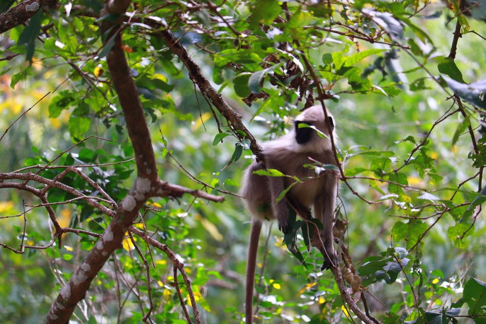 Photograph by Akhila