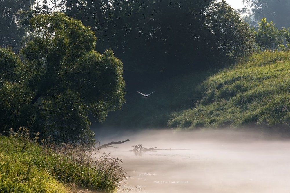Когда вода - парное молоко