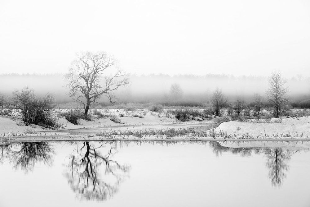 Туманное утро.