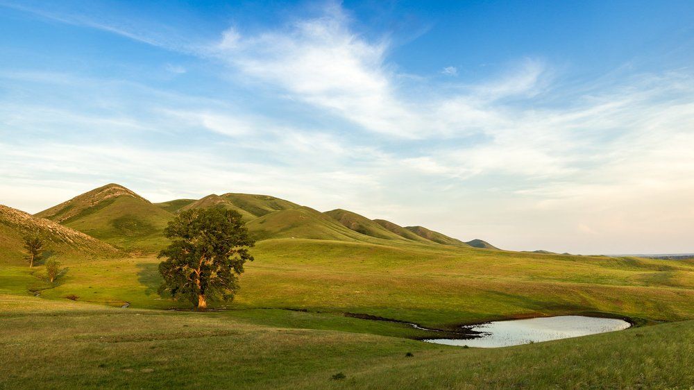 Средь бархатных холмов