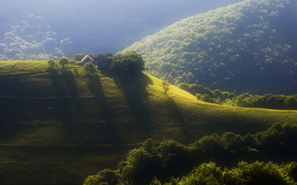 Photograph by Mihail-Bogdan Chirobocea