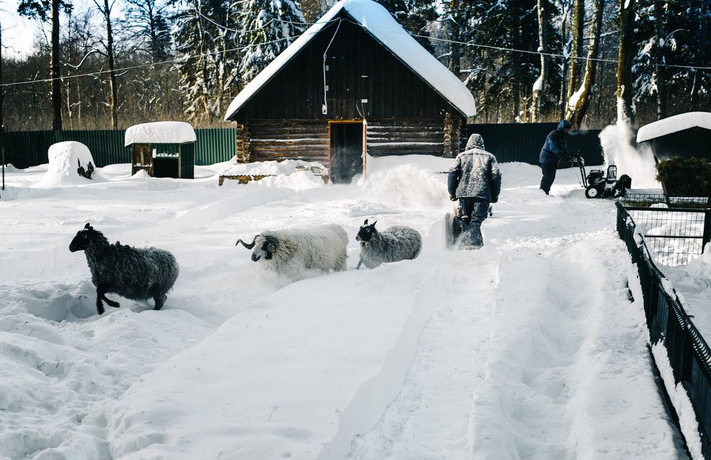 Photograph by Александр