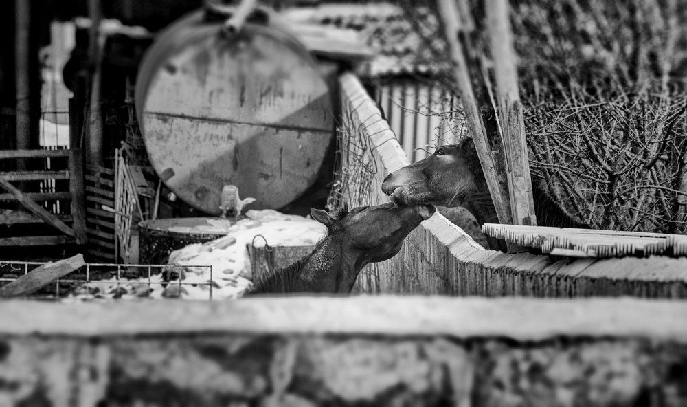 Без преград