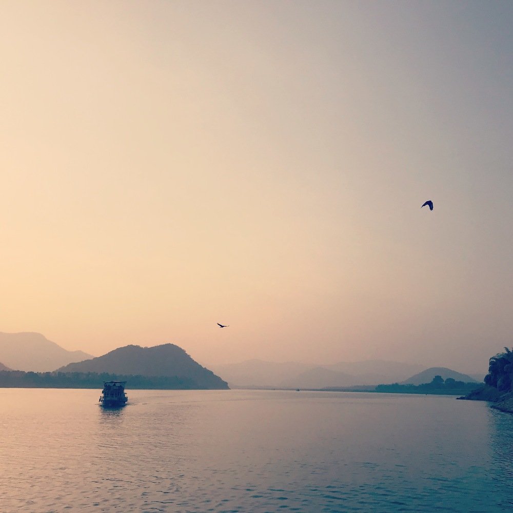 Fly! Fly! Fly High In the sunset...