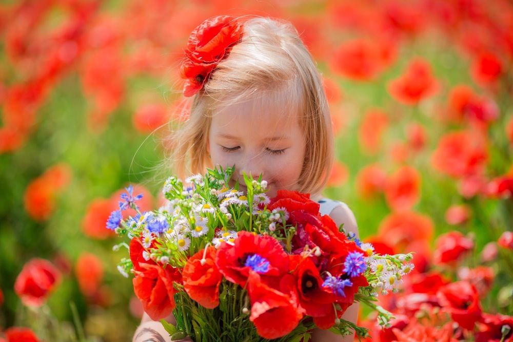 Дыхание лета