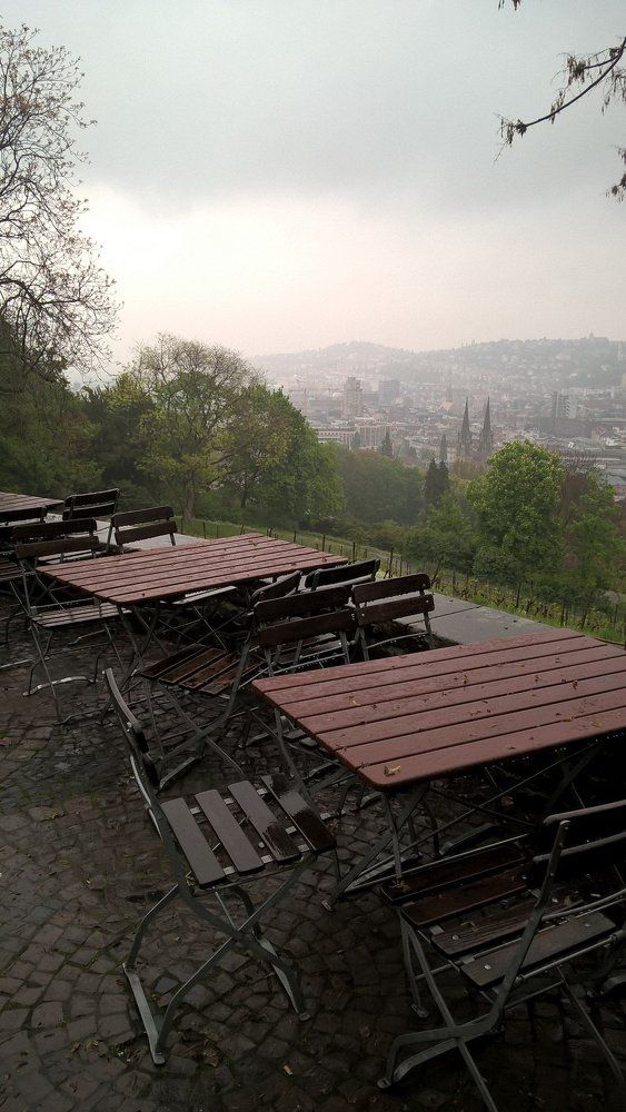 Photo #2215369