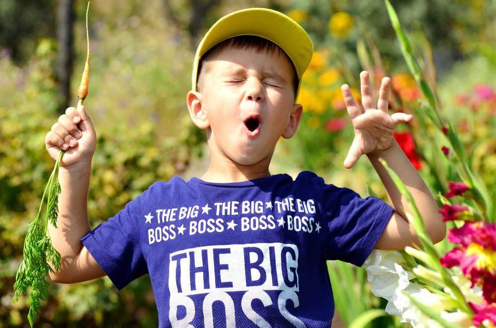 Юный озорник