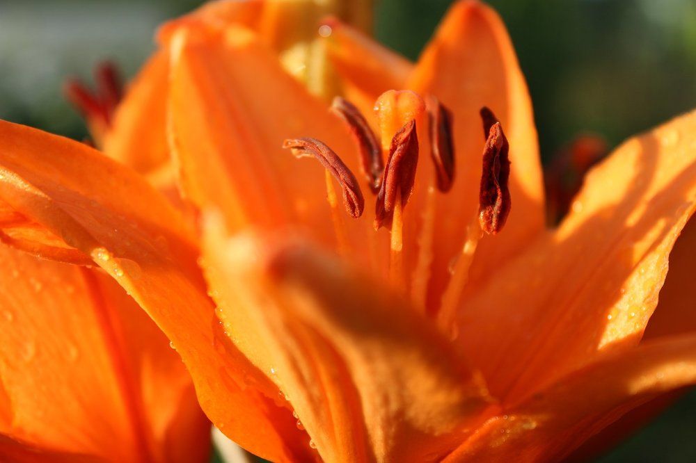 Photograph by Екатерина Мартынова