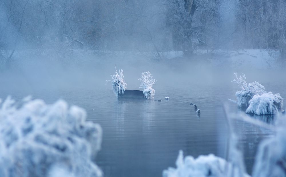 Photograph by Ячменева Надежда