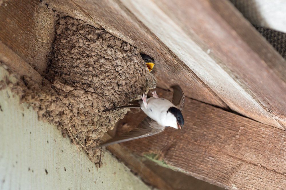 Photograph by Надежда