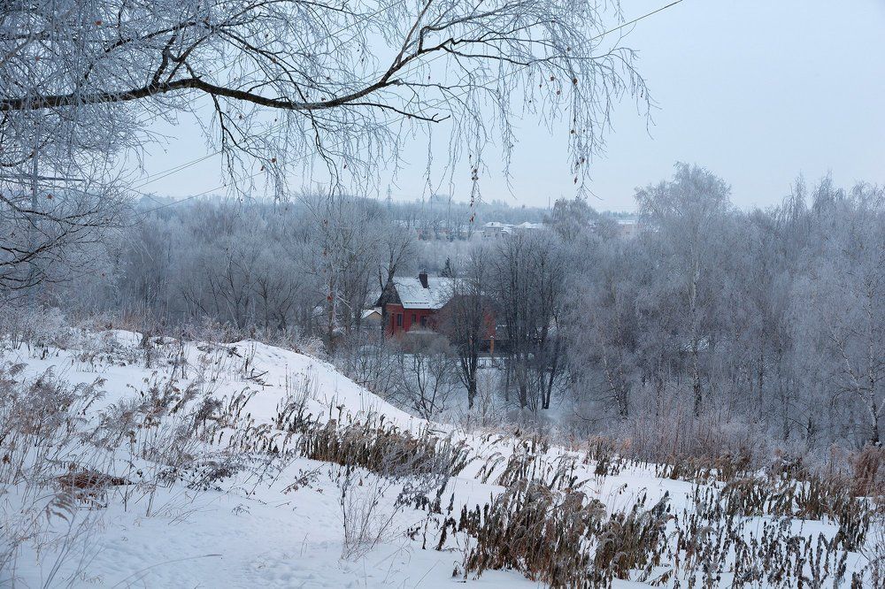 Photograph by Надежда