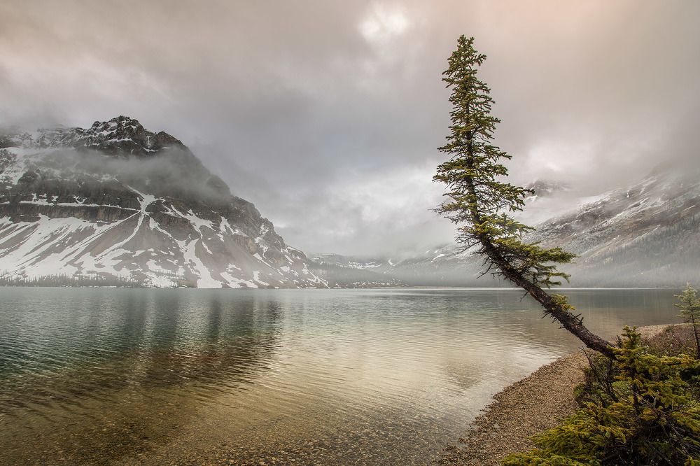 ДОЖДЬ НА ГНУТОМ ОЗЕРЕ