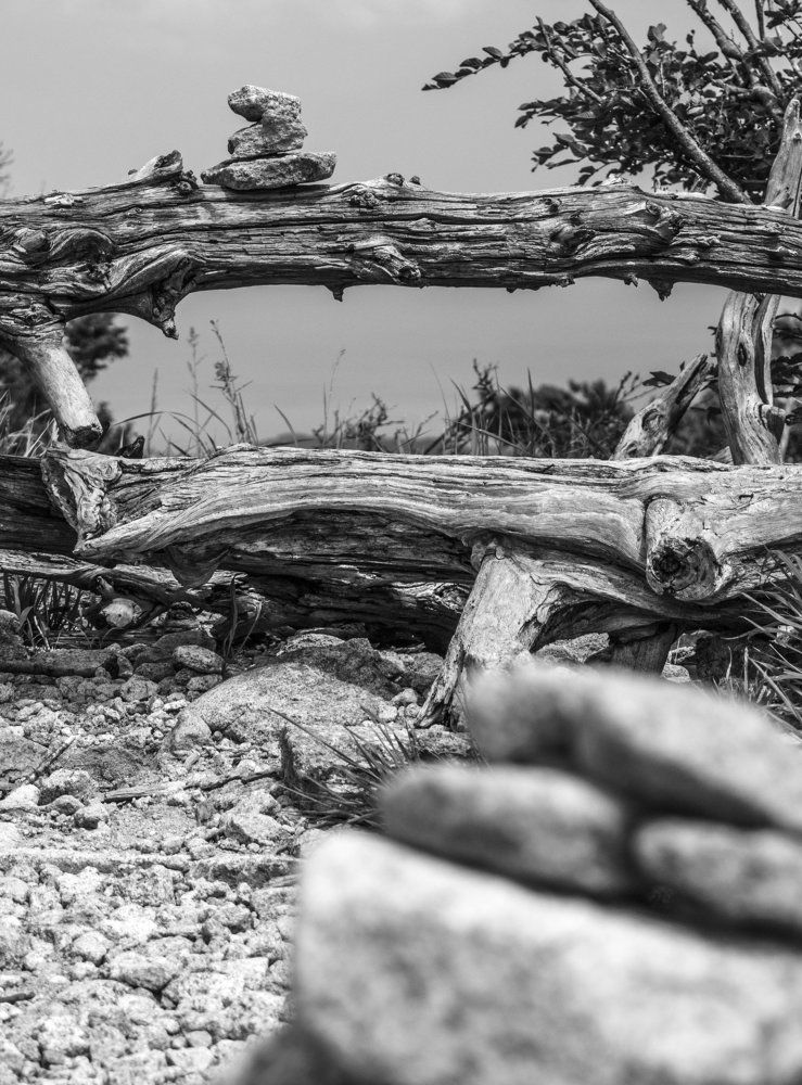 Три Стихии: Дерево, Воздух, Камень