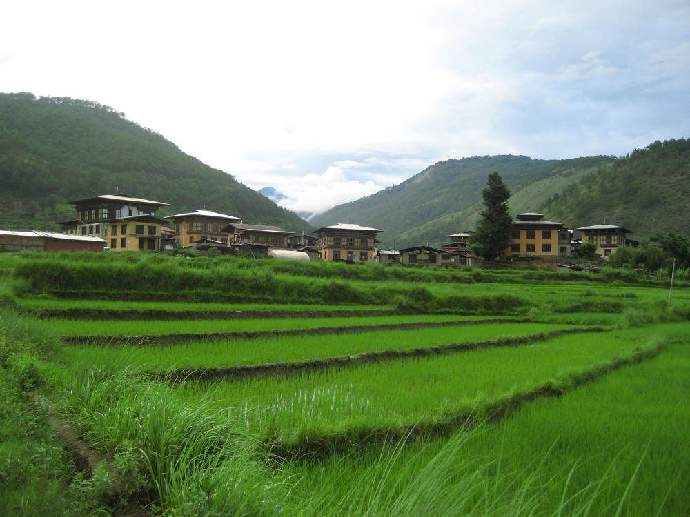 Landscape