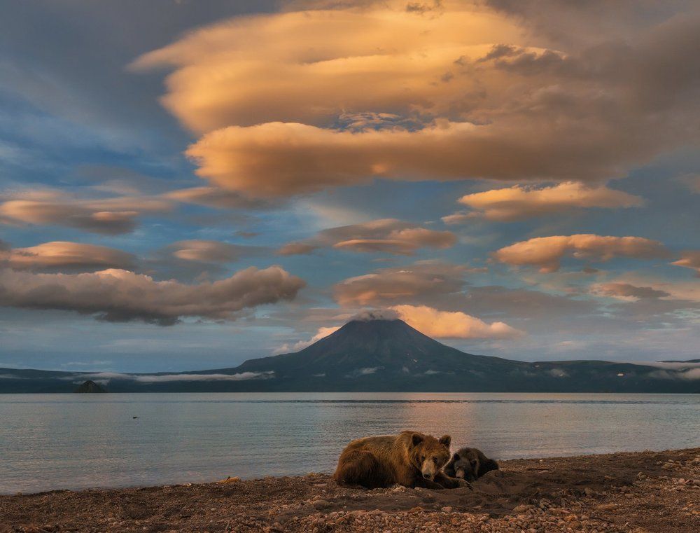 Гармония природы.