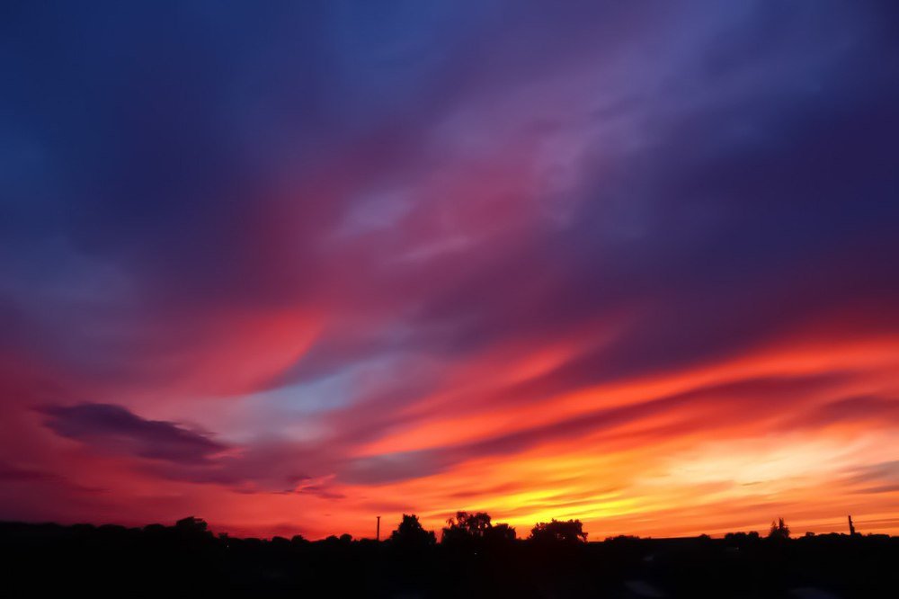 Художник разлил краски