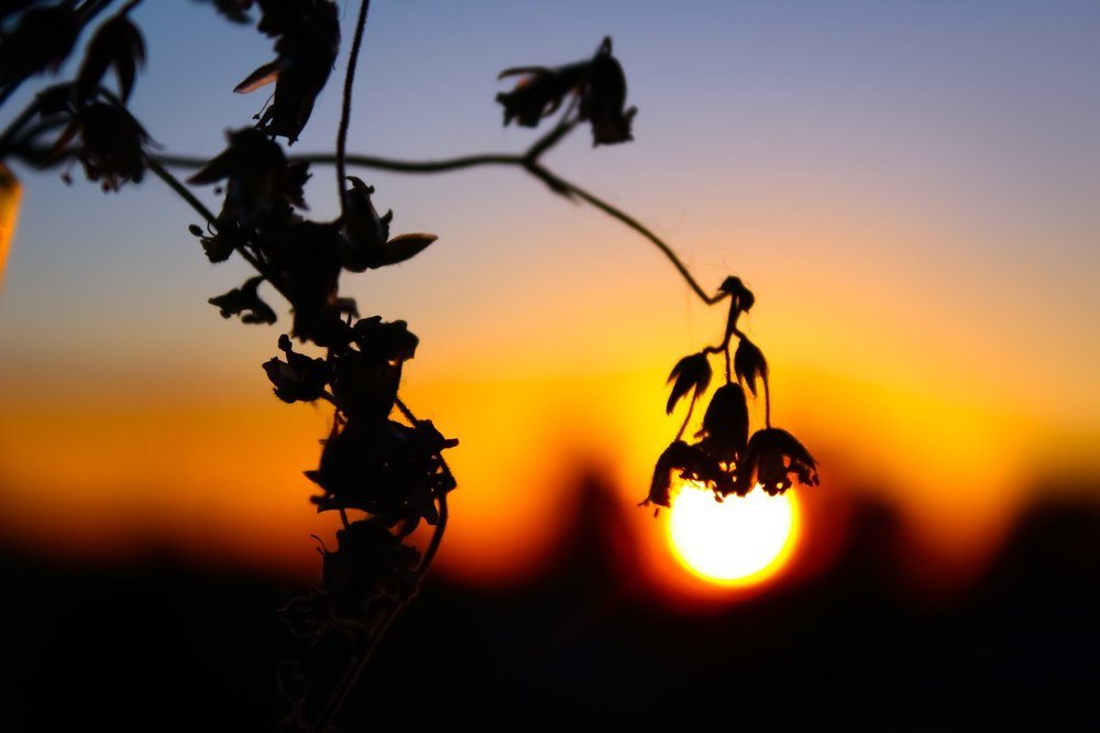 Поймай момент