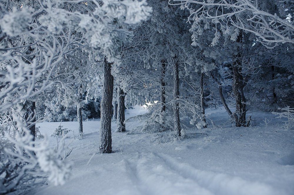 Снежное царство
