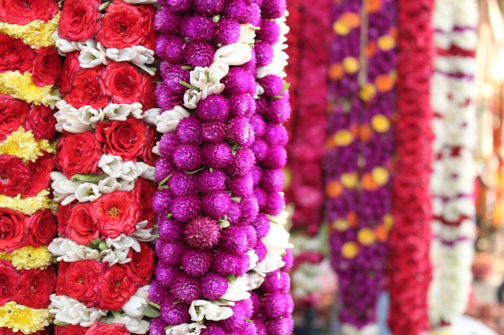 Colourful Life
