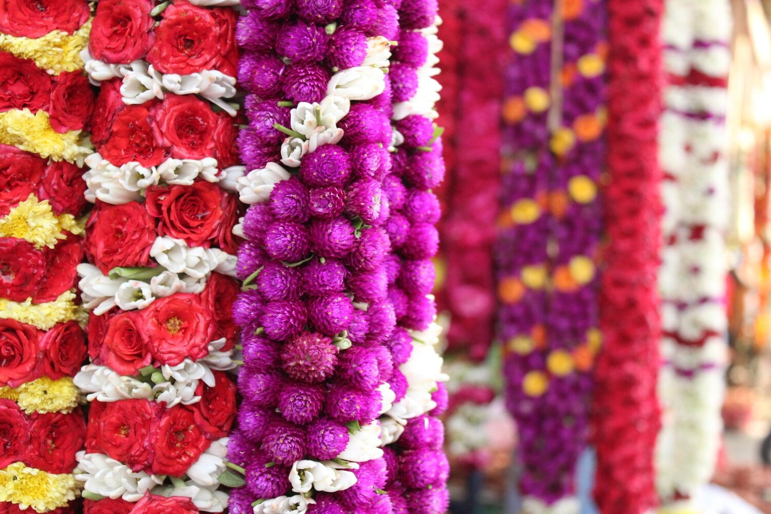 Colourful Life