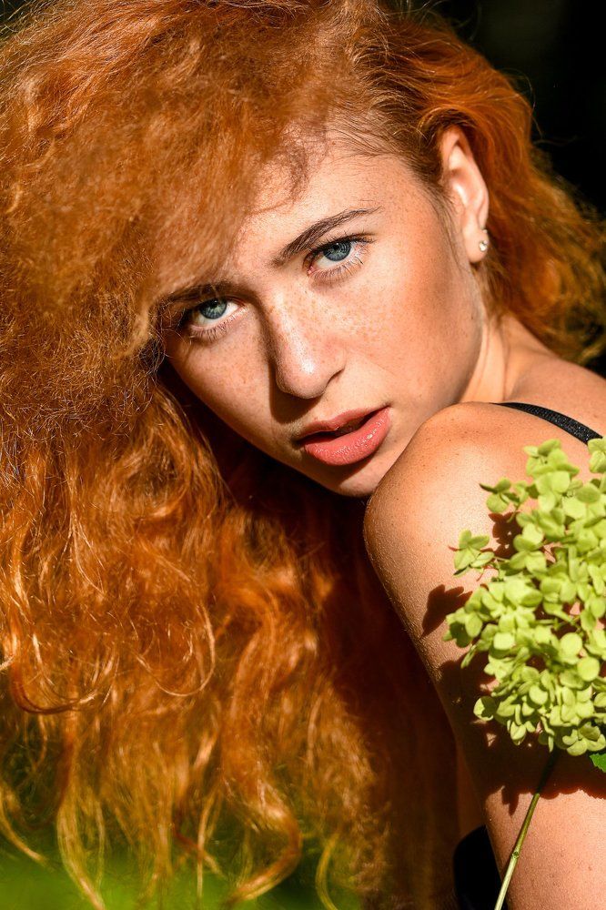 цвета солнца