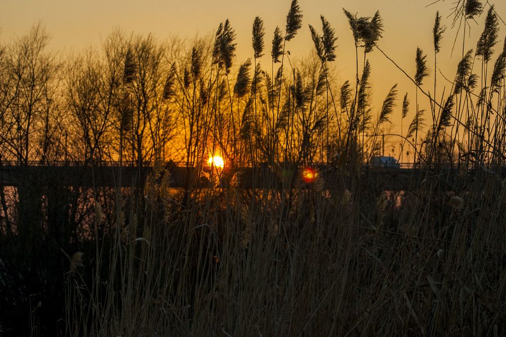 Sunset in Omsk city