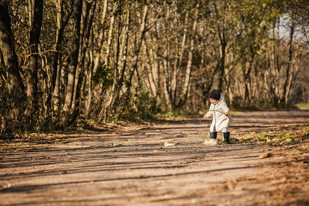 Юный дресировщик