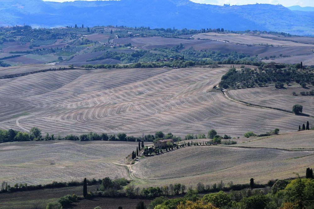 Фотография автора Андрей Симонов
