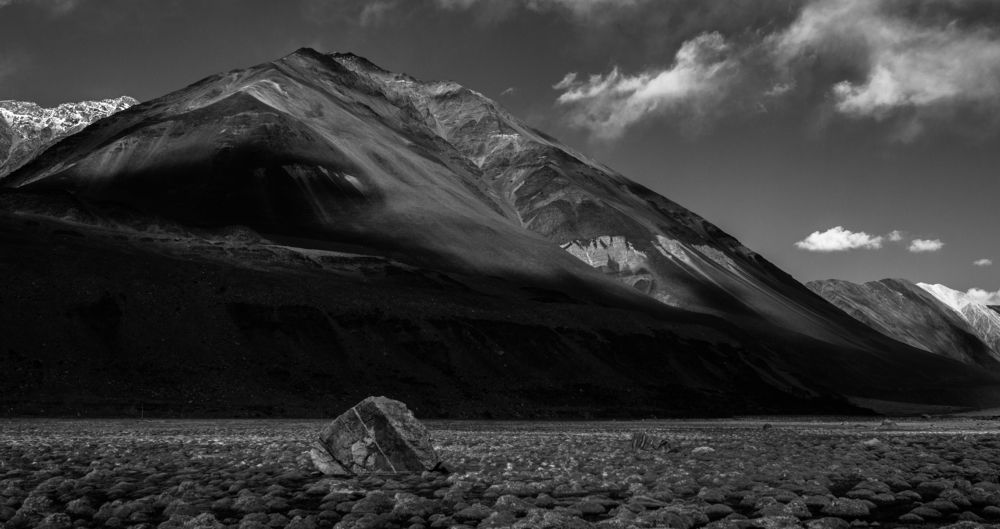 Beauty and the Beast