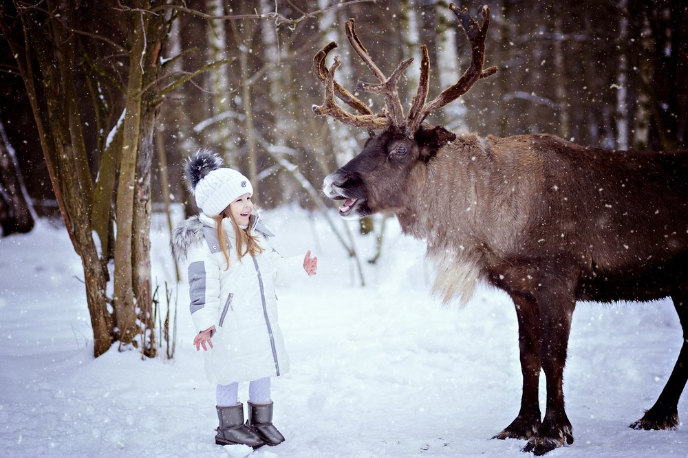 Будем знакомы