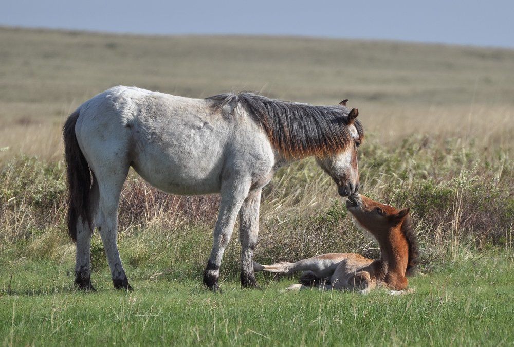 Photograph by Евгений Дроботенко